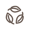 BIODECRADABLE<br>
DYES